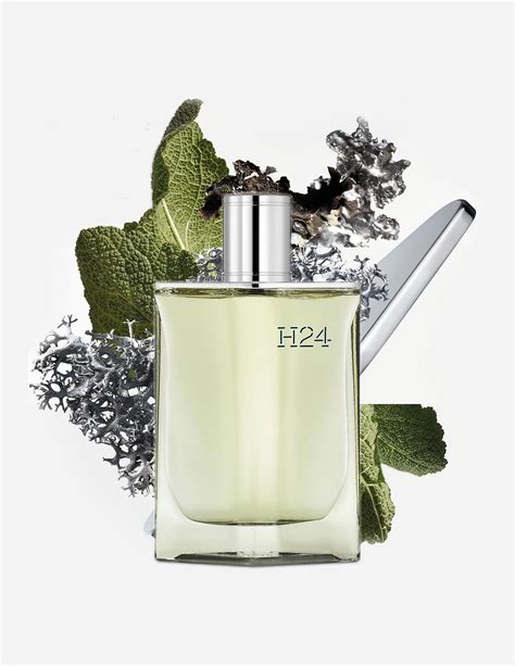 My thoughts on Hermes H24 EDT and EDP 